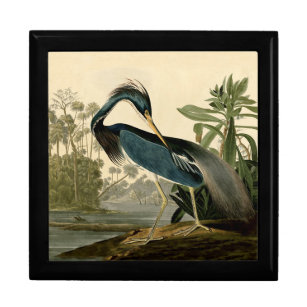 Audubon Louisiana Heron Birds America Art Gift Box