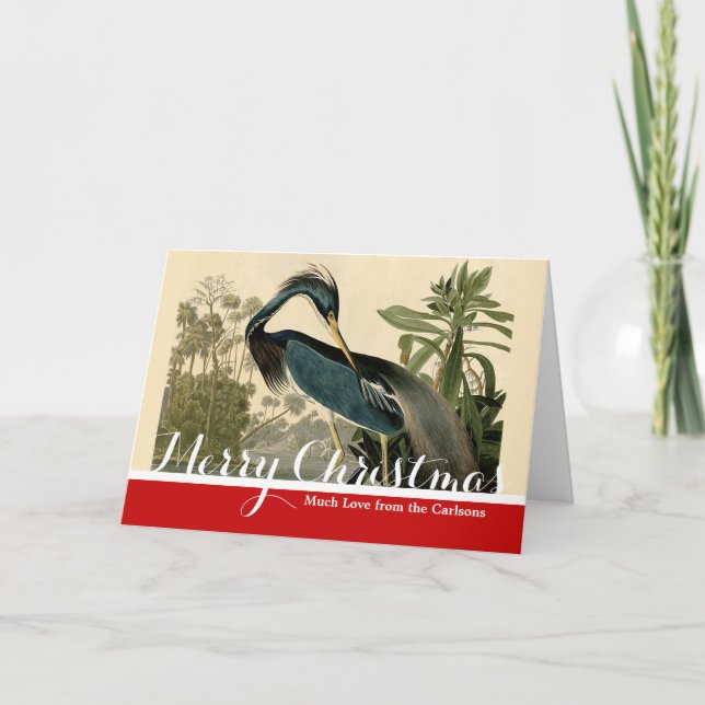 Audubon Louisiana Heron Birds America Art Holiday Card (Front)