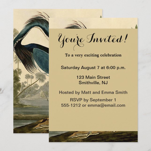 Audubon Louisiana Heron Birds America Art Invitation (Front/Back)