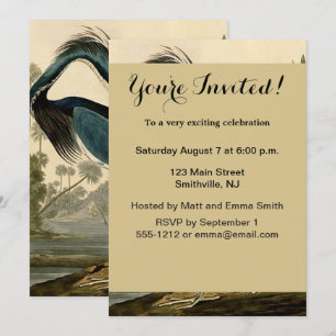 Audubon Louisiana Heron Birds America Art Invitation