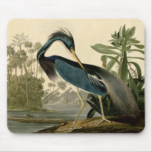 Audubon Louisiana Heron Birds America Art Mouse Mat