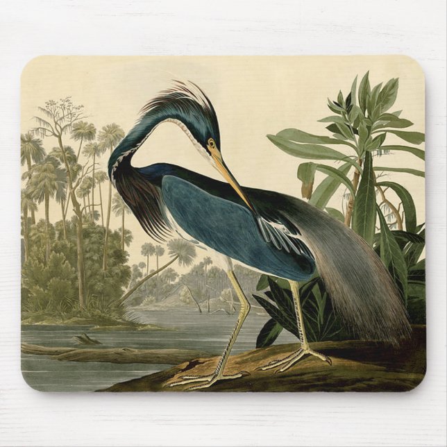 Audubon Louisiana Heron Birds America Art Mouse Mat (Front)