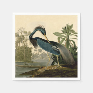 Audubon Louisiana Heron Birds America Art Napkin
