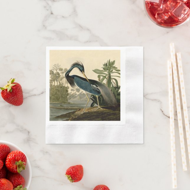 Audubon Louisiana Heron Birds America Art Napkin (Insitu)