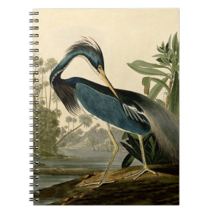 Audubon Louisiana Heron Birds America Art Notebook