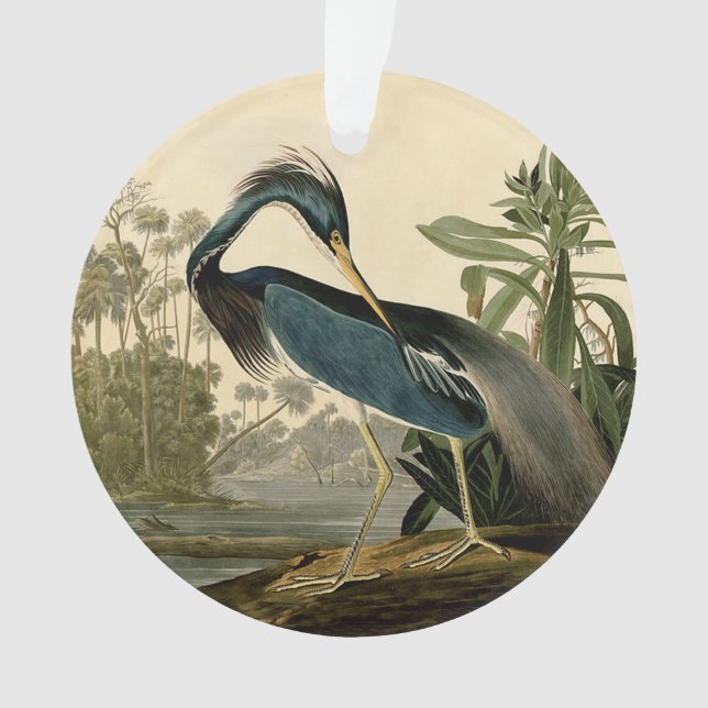 Audubon Louisiana Heron Birds America Art Ornament (Front)