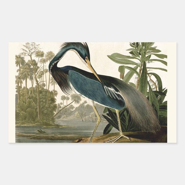 Audubon Louisiana Heron Birds America Art Rectangular Sticker (Front)