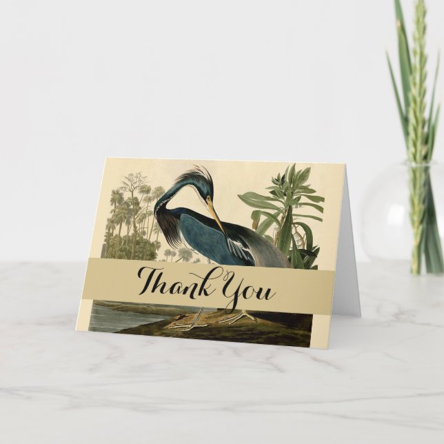 Audubon Louisiana Heron Birds America Art Thank You Card (Front)
