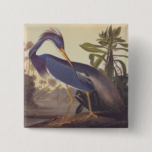 Audubon Lousiana Heron on Coastal Marsh Land 15 Cm Square Badge