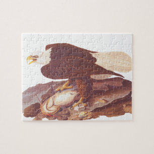 Audubon Majestic Bald Eagle with Fresh Catch Jigsaw Puzzle