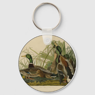 Audubon Mallard duck Bird Vintage Print Key Ring