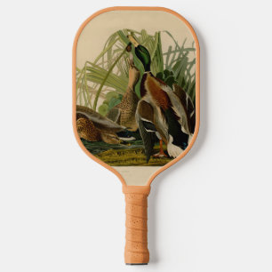 Audubon Mallard duck Bird Vintage Print Pickleball Paddle