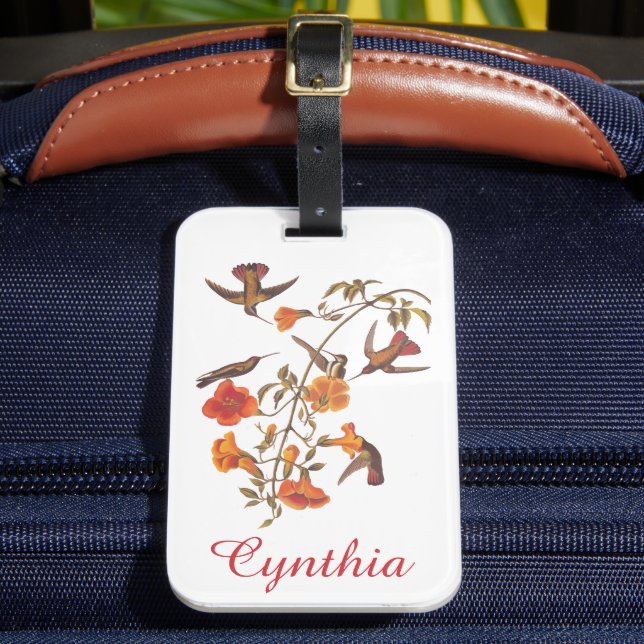 Audubon Mango Hummingbird in Gem Colours Luggage Tag (Front Insitu 2)