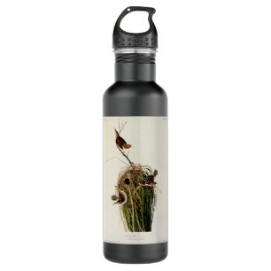 Audubon Marsh Wren Bird Art 710 Ml Water Bottle