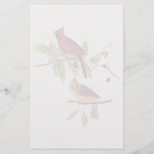 Audubon Northern Cardinal Stationery