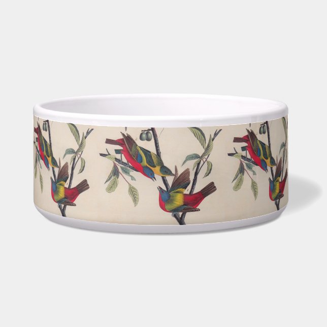 Audubon Painted Bunting Bird Wildlife (Front)