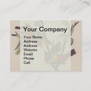 Audubon Painted Bunting Bird Wildlife Business Card