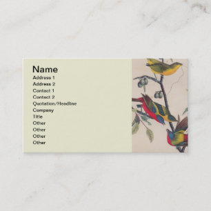 Audubon Painted Bunting Bird Wildlife Business Card