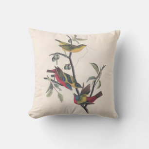 Audubon Painted Bunting Bird Wildlife Cushion