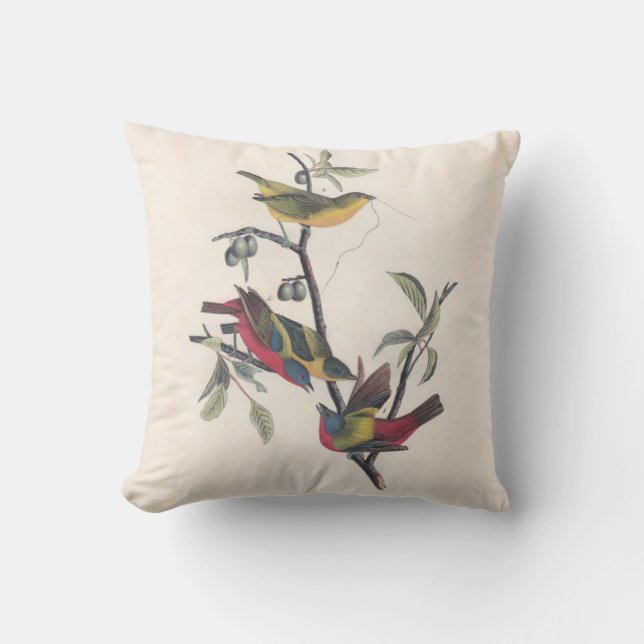 Audubon Painted Bunting Bird Wildlife Cushion (Front)