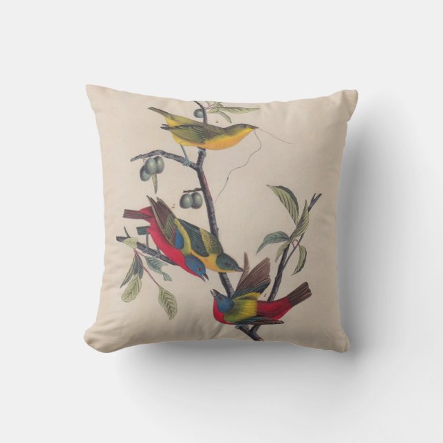 Audubon Painted Bunting Bird Wildlife Cushion (Front)