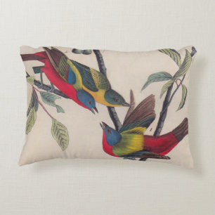 Audubon Painted Bunting Bird Wildlife Decorative Cushion