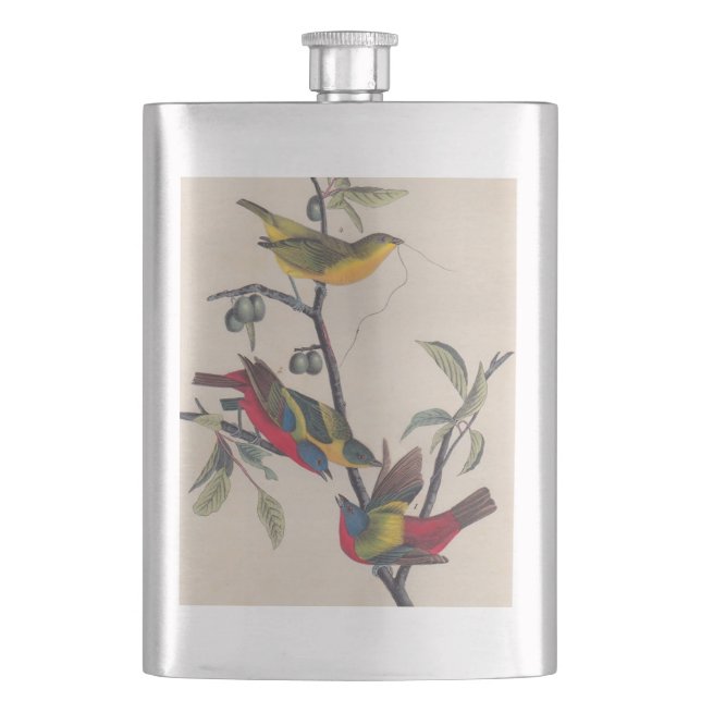 Audubon Painted Bunting Bird Wildlife Hip Flask (Front)