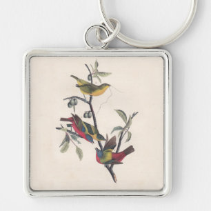 Audubon Painted Bunting Bird Wildlife Key Ring