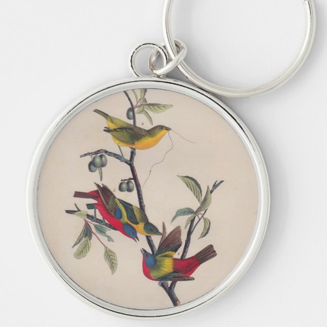 Audubon Painted Bunting Bird Wildlife Key Ring (Front)