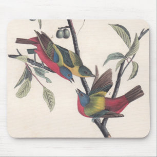 Audubon Painted Bunting Bird Wildlife Mouse Mat