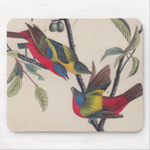 Audubon Painted Bunting Bird Wildlife Mouse Mat