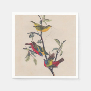 Audubon Painted Bunting Bird Wildlife Napkin
