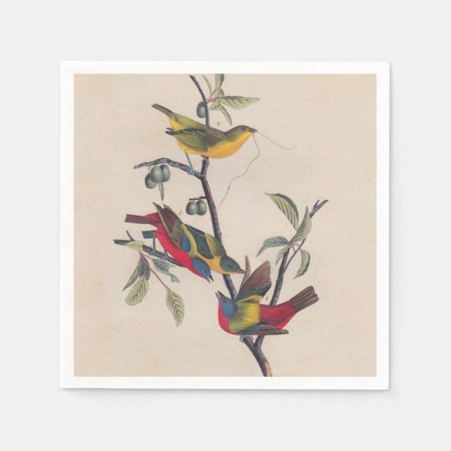 Audubon Painted Bunting Bird Wildlife Napkin (Front)