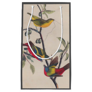 Audubon Painted Bunting Bird Wildlife Small Gift Bag
