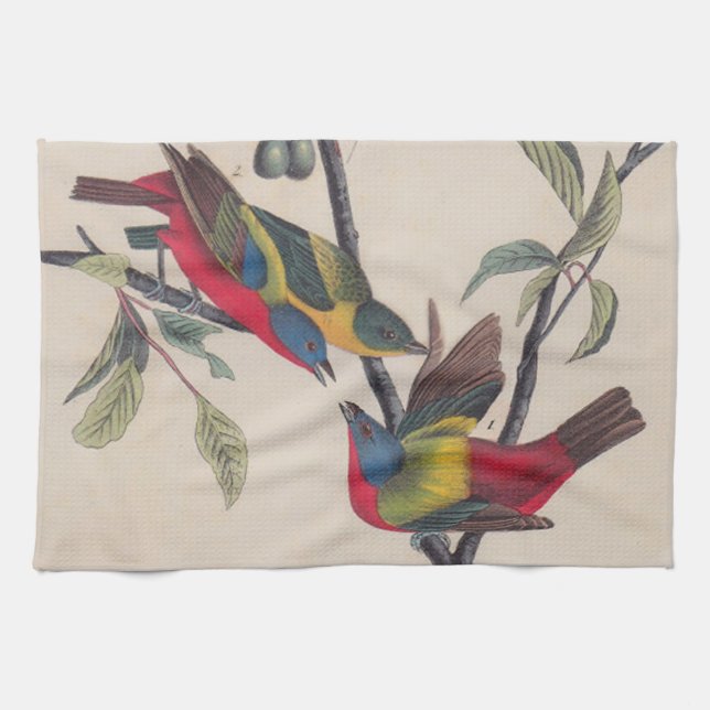 Audubon Painted Bunting Bird Wildlife Tea Towel (Horizontal)