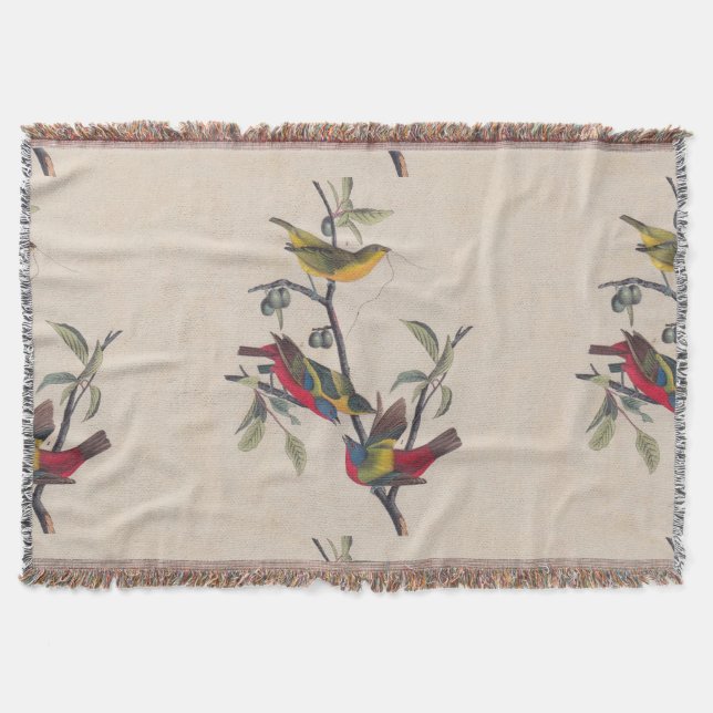 Audubon Painted Bunting Bird Wildlife Throw Blanket (Front)