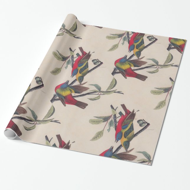 Audubon Painted Bunting Bird Wildlife Wrapping Paper (Unrolled)
