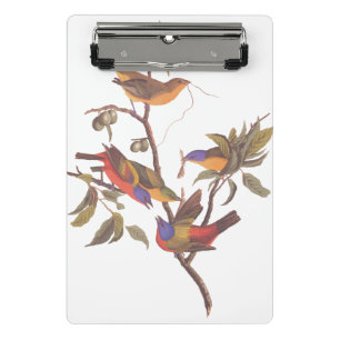 Audubon Painted Bunting Birds in a Cherokee Plum Mini Clipboard