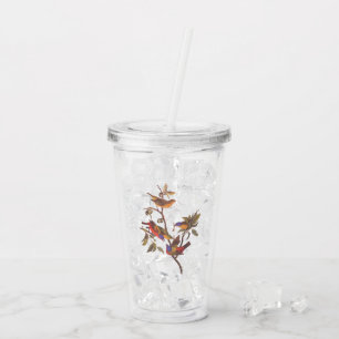 Audubon Painted Bunting Birds is Wild Plum Tree Acrylic Tumbler