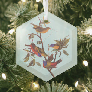 Audubon Painted Bunting Birds is Wild Plum Tree Glass Tree Decoration