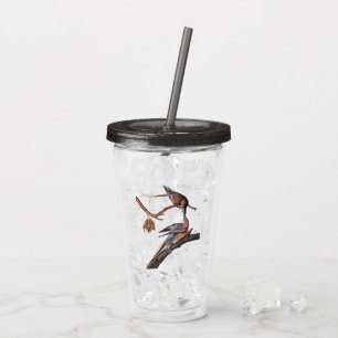 Audubon Pair of Kissing Passenger Pigeons Acrylic Tumbler
