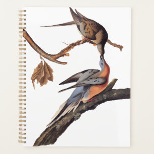Audubon Pair of Kissing Passenger Pigeons Planner
