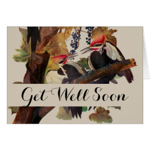 Audubon Pileated Woodpecker Bird Painting