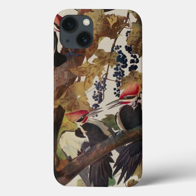 Audubon Pileated Woodpecker Bird Painting Case-Mate iPhone Case (Back)