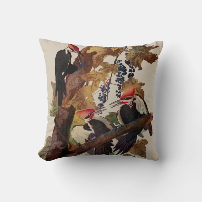Audubon Pileated Woodpecker Bird Painting Cushion (Front)