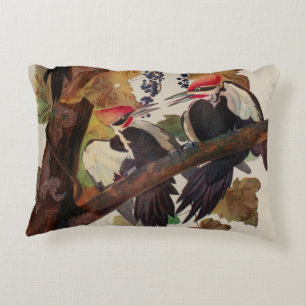 Audubon Pileated Woodpecker Bird Painting Decorative Cushion