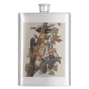 Audubon Pileated Woodpecker Bird Painting Hip Flask