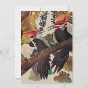 Audubon Pileated Woodpecker Bird Painting Invitation
