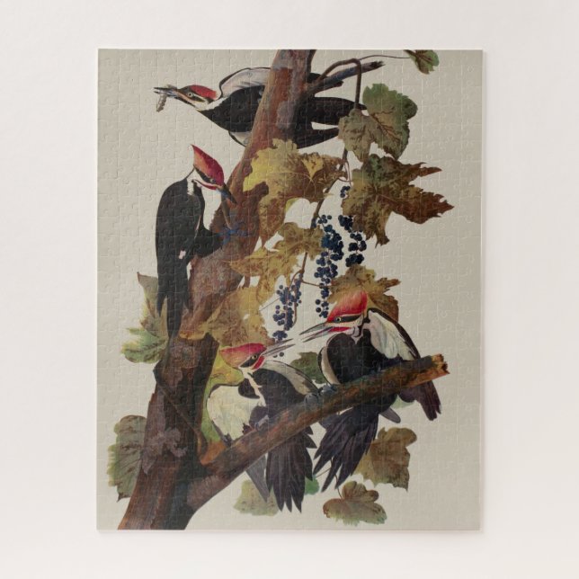 Audubon Pileated Woodpecker Bird Painting Jigsaw Puzzle (Vertical)