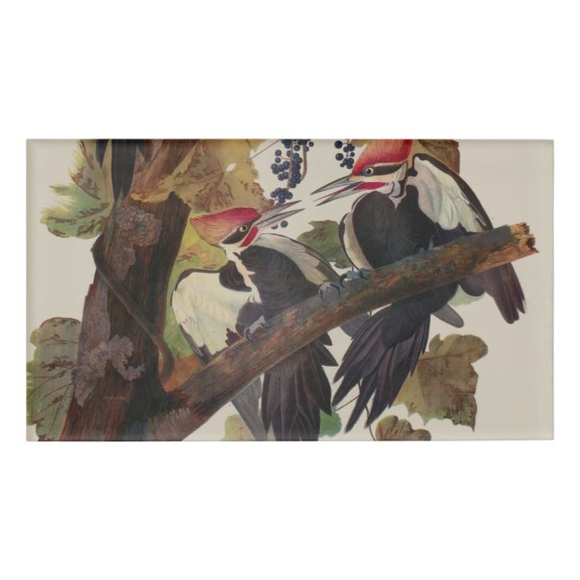Audubon Pileated Woodpecker Bird Painting Name Tag (Front)